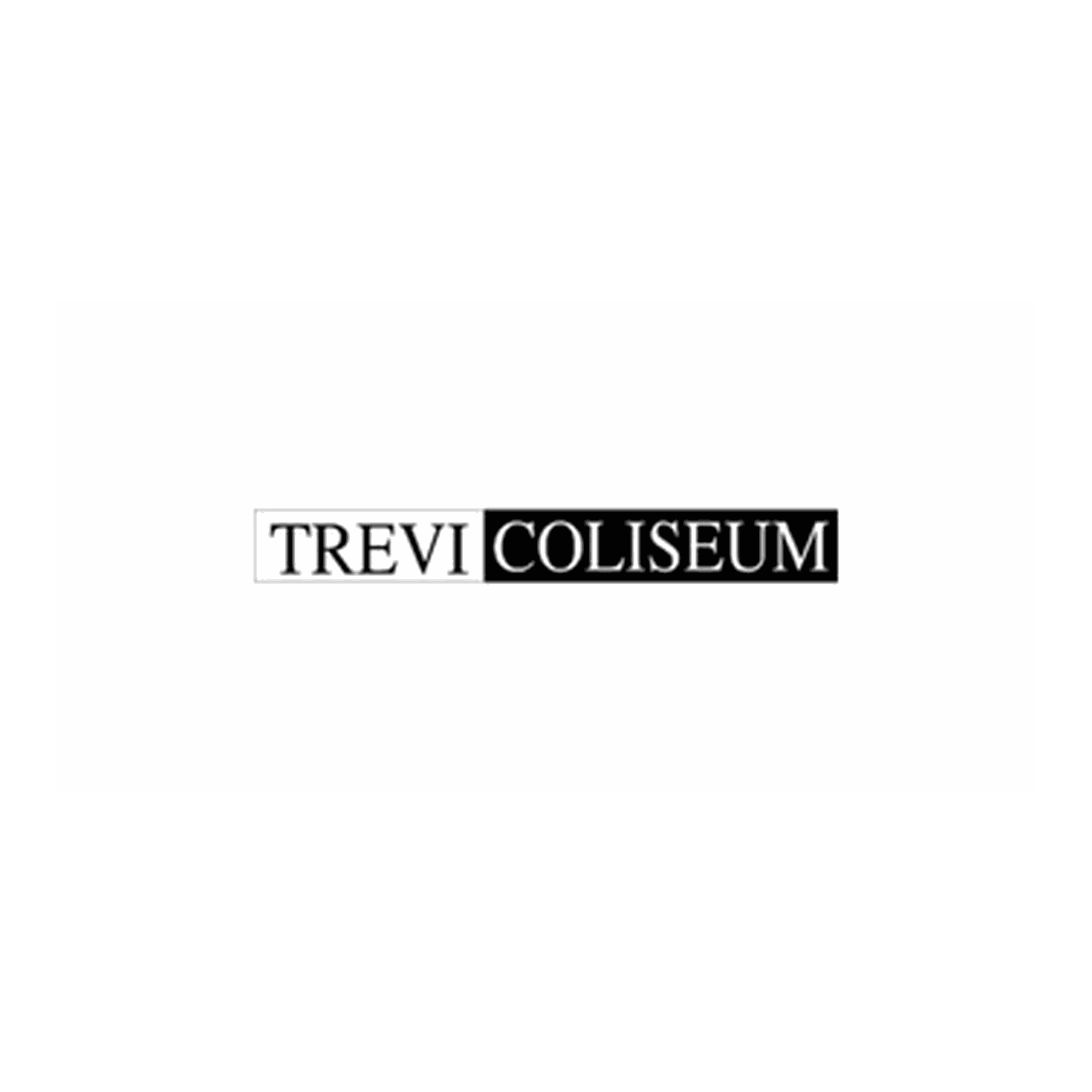 TREVI_COLISEUM_SRL